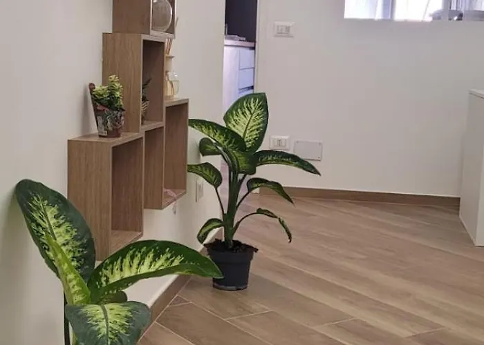 Acomodação com café da manhã  A Casa Di Fede Roma